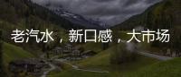 老汽水，新口感，大市場！這個夏季七品熊老汽水和你一起賺錢！