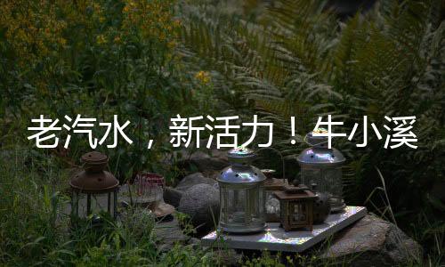 老汽水，新活力！牛小溪汽水橫掃市場，掀起熱銷風暴！