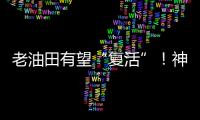 老油田有望“復活”！神秘古菌“吃”石油產甲烷—新聞—科學網