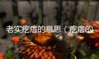 老實疙瘩的意思（疙瘩的意思）