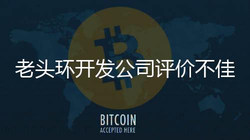 老頭環開發公司評價不佳 年薪341w日元 員工覺得加班太多