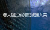 老太阻攔偷狗賊被推入菜地 這膽子也忒肥了吧！