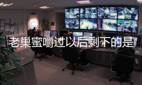 老巢蜜嚼過以后剩下的是什么（老巢蜜）