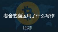 老舍的貓運用了什么寫作手法 貓作者采用了什么的寫法