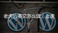 老虎的英文怎么讀（老虎的英文）