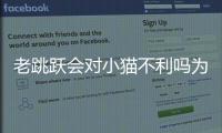 老跳躍會對小貓不利嗎為什么(貓咪經常跳躍會對她有什么不好的影響嗎)