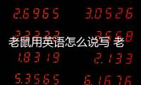 老鼠用英語(yǔ)怎么說(shuō)寫(xiě) 老鼠用英語(yǔ)怎么說(shuō)