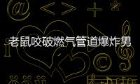 老鼠咬破燃氣管道爆炸男子全身燒傷 面積超92%