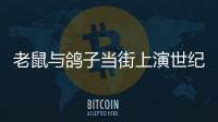 老鼠與鴿子當街上演世紀大戰（鴿子慘被老鼠咬死(3)）