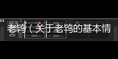 老鴇（關(guān)于老鴇的基本情況說明介紹）