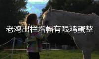 老雞出欄增幅有限雞蛋整體疲軟