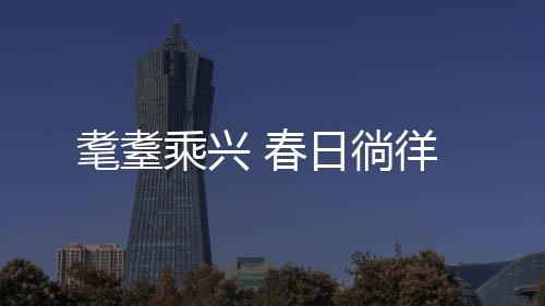 耄耋乘興 春日徜徉