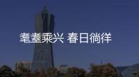 耄耋乘興 春日徜徉