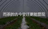 而茶的古今變遷更能顯現傳統文化躍動的生命力