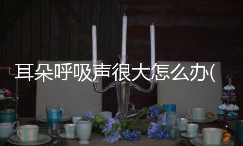 耳朵呼吸聲很大怎么辦(小狗睡覺呼吸聲很大)