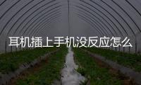 耳機(jī)插上手機(jī)沒反應(yīng)怎么回事，耳機(jī)插上手機(jī)沒反應(yīng)怎么辦