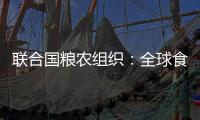聯(lián)合國糧農(nóng)組織：全球食品價(jià)格指數(shù)6月保持穩(wěn)定