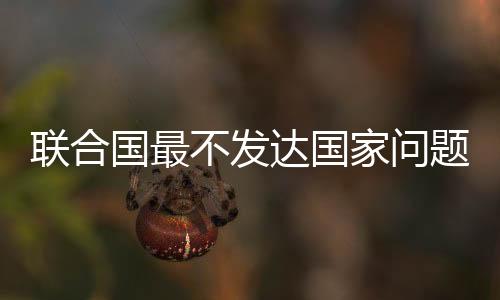 聯合國最不發達國家問題高級別會議閉幕