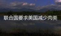 聯(lián)合國要求美國減少肉類消費(fèi)量 美國各界急了