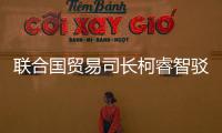 聯合國貿易司長柯睿智駁斥中國崩潰論