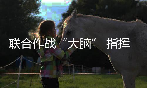 聯合作戰“大腦” 指揮武直10反坦克