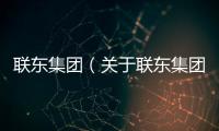 聯東集團（關于聯東集團的基本情況說明介紹）