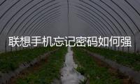 聯(lián)想手機(jī)忘記密碼如何強開usb調(diào)試解鎖？