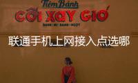 聯(lián)通手機(jī)上網(wǎng)接入點(diǎn)選哪個(gè)（聯(lián)通手機(jī)上網(wǎng)資費(fèi)）