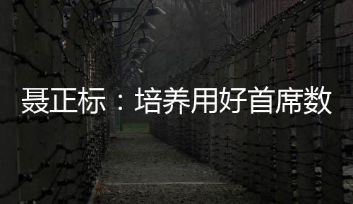 聶正標：培養用好首席數據官