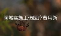 聊城實施工傷醫療費用新政策
