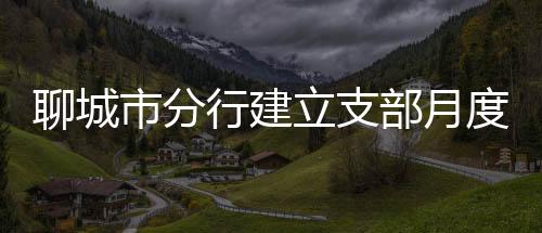 聊城市分行建立支部月度備案機制