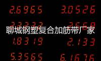 聊城鋼塑復(fù)合加筋帶廠家電話