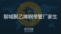 聊城聚乙烯鋼帶管廠家生產(chǎn)