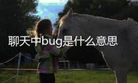 聊天中bug是什么意思（網(wǎng)絡(luò)語(yǔ)bug是什么意思）