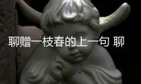 聊贈一枝春的上一句 聊贈一枝春的上一句是什么