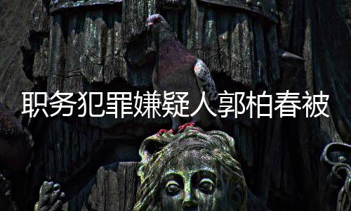 職務犯罪嫌疑人郭柏春被遣返回國