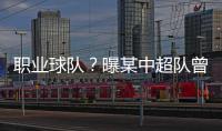 職業(yè)球隊(duì)？曝某中超隊(duì)曾詢問足協(xié)無法準(zhǔn)入能否踢中甲中乙