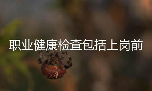 職業健康檢查包括上崗前（職業健康檢查包括）