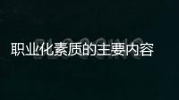 職業化素質的主要內容 職業化素質是什么