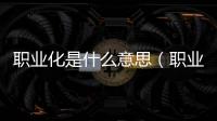 職業化是什么意思（職業化是什么）