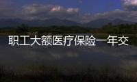 職工大額醫(yī)療保險一年交多少