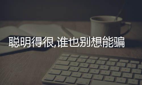 聰明得很,誰也別想能騙到的3大星座