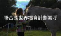 聯合國世界糧食計劃署呼籲在加沙地帶開放第二個邊境口岸