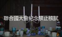 聯合國大會紀念禁止核試驗國際日