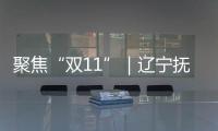 聚焦“雙11”｜遼寧撫順向電子商務經營者和消費者發布提示
