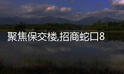 聚焦保交樓,招商蛇口85億定增將用于存量住宅項(xiàng)目開發(fā)