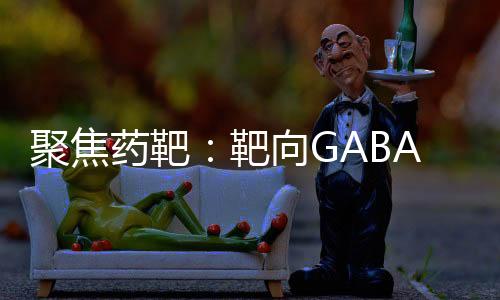 聚焦藥靶：靶向GABA受體的藥物研發進展