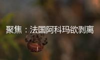 聚焦：法國阿科瑪欲剝離南非兩涂料業(yè)務(wù)