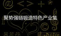 聚勢強鏈鍛造特色產(chǎn)業(yè)集群新優(yōu)勢