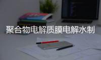 聚合物電解質(zhì)膜電解水制氫